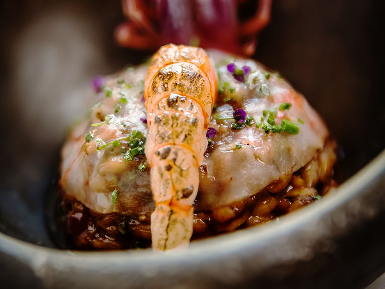 Barra_Sauc_highres-11