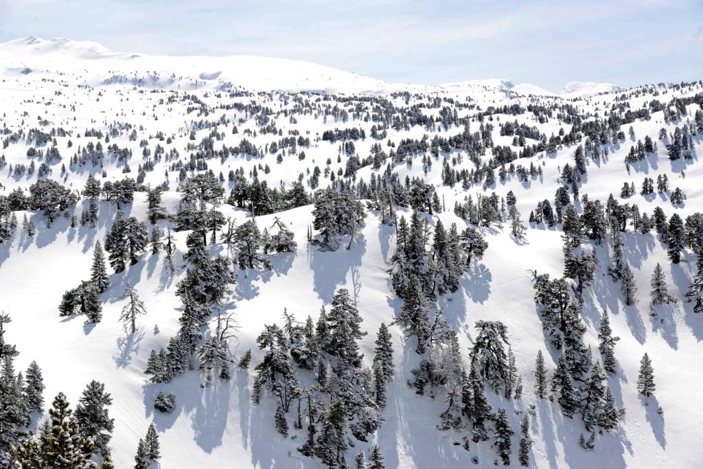 (L) El ‘techo’ de Navarra, en el valle de Belagua