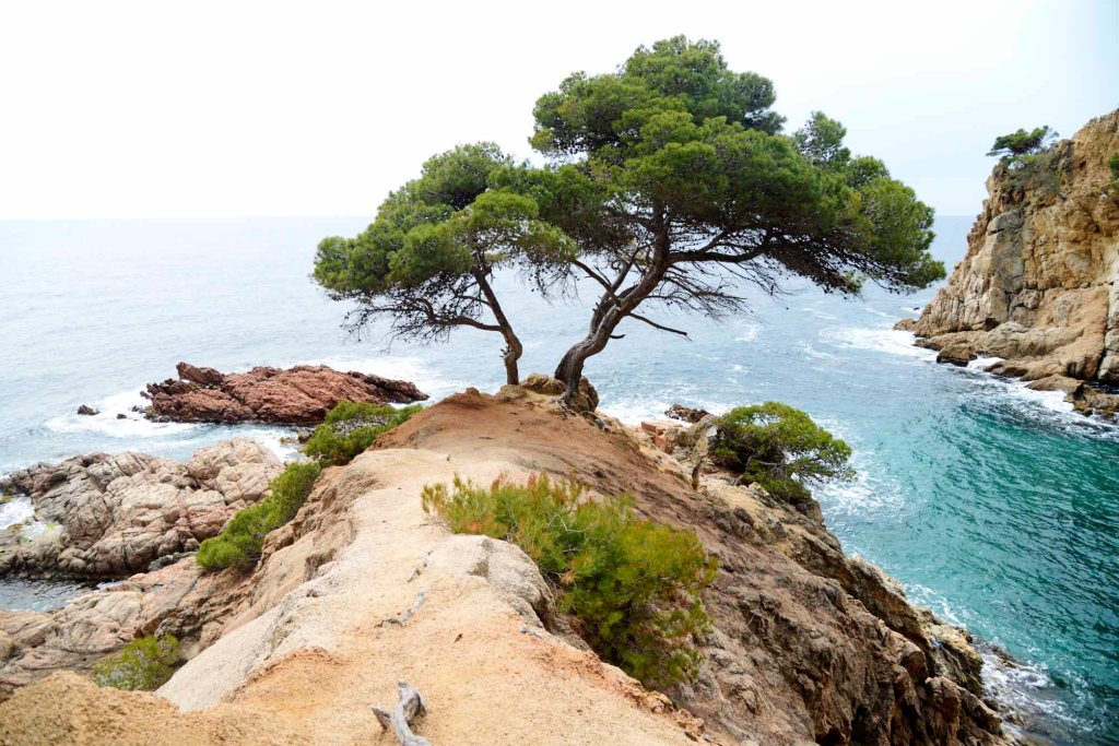 (L) Caminos de Ronda, una buena propuesta de costa y naturaleza para andar un&nbsp;poco