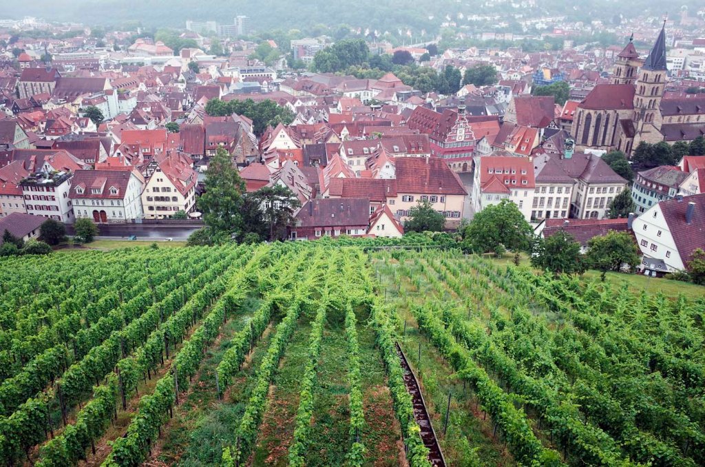 (E) Esslingen, centro histórico medieval y tierra del primer vino espumoso alemán