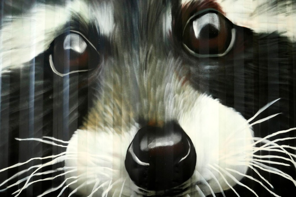 Trenes de mercancías y sostenibilidad: una curiosa y sensible exposición en&nbsp;BCN