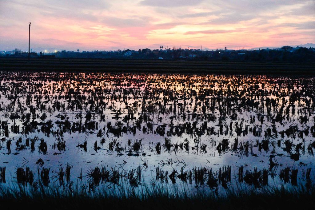 (L) Visita al Delta del Ebro, uno de los humedales clave del Mediterráneo&nbsp;occidental