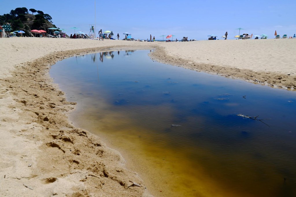 Platja del Castell, en el Baix Empordà, casi ‘virgen’ e ideal para&nbsp;familias