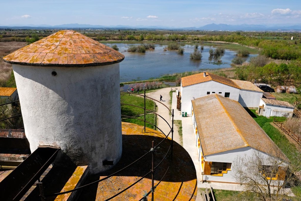 Los ‘Aiguamolls de l’Empordà’, oportunidad preciosa para la observación de aves y una jornada en&nbsp;familia